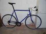 Rennrad_kmpl_klein.jpg