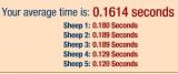 sheep.jpg