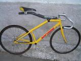 12227_picture1.jpg