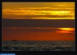 mw_mal07_F4Y5439.jpg