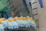 _DSC_0003-(108).jpg